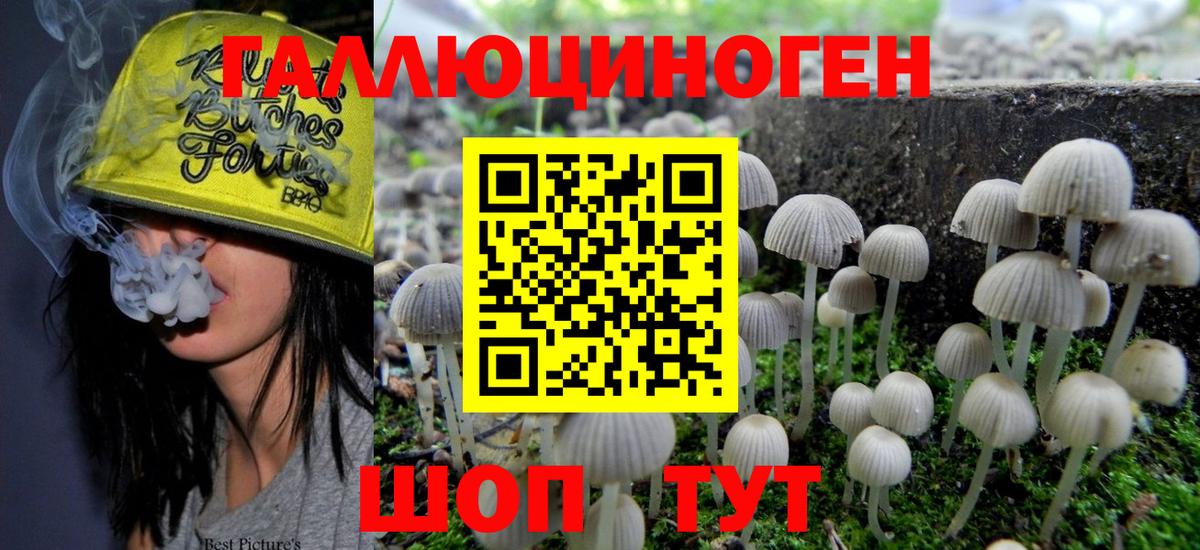 Псилоцибиновые грибы GOLDEN TEACHER Батайск