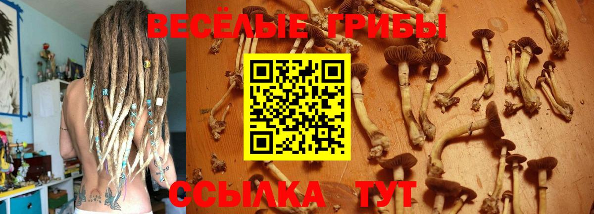 Галлюциногенные грибы Cubensis  Вход с VPN  Батайск 